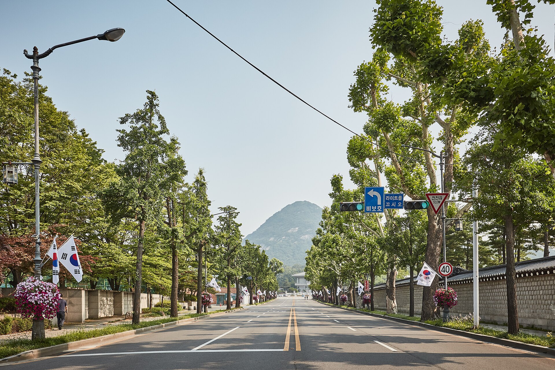 Expats Secure Seoul Jobs 2026: Salaries, Visas, Top Hiring Industries Revealed