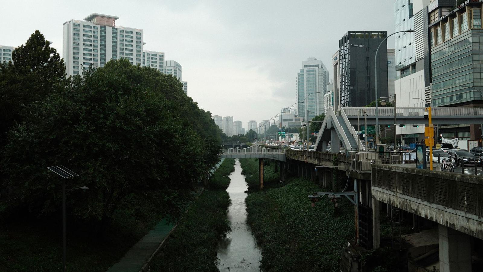 Best Running Routes in Seoul 2026