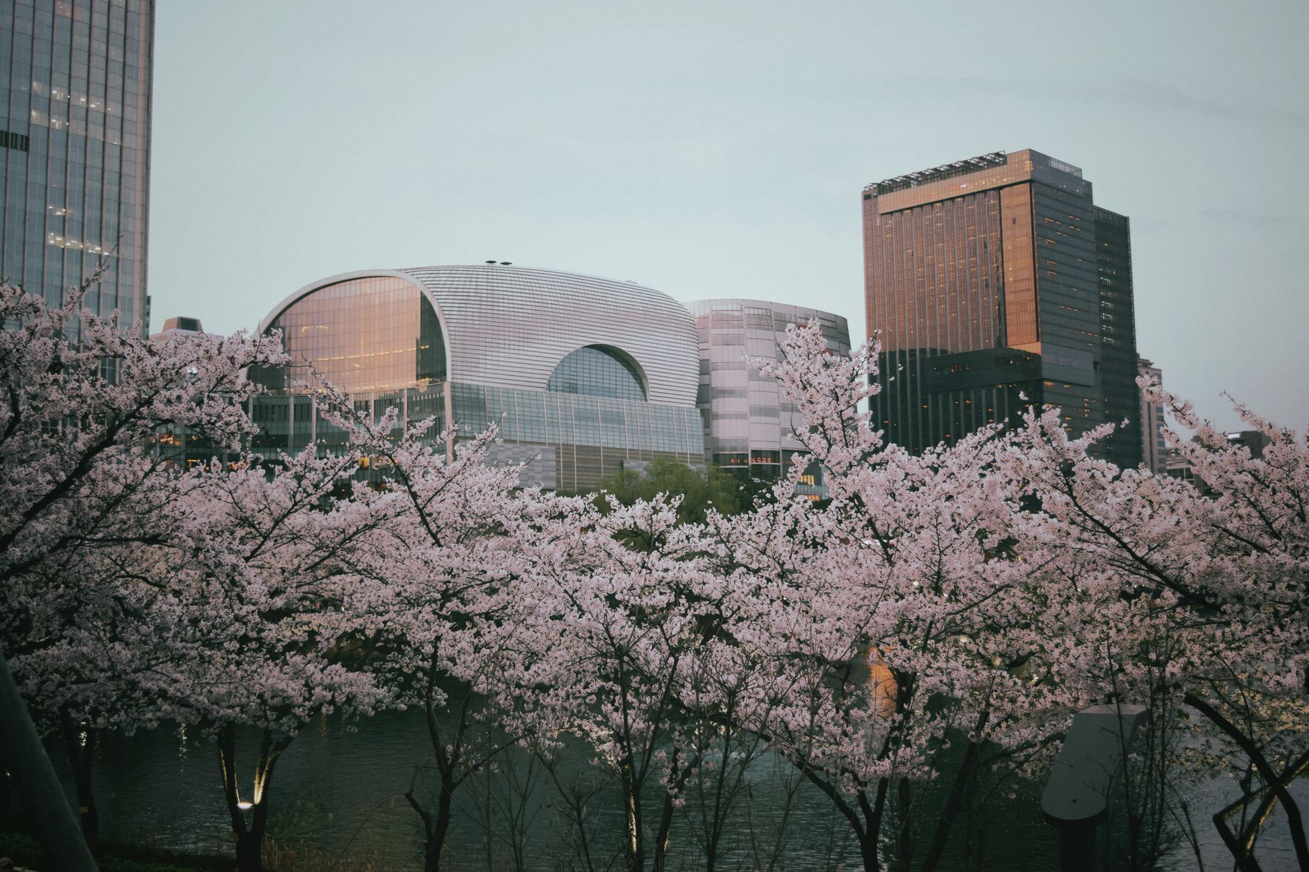 Remote Work Reshapes Seoul's Talent Competition as Office Vacancies Rise