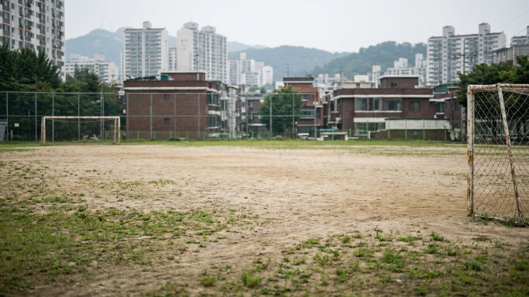 Seoul's Grassroots Football Clubs Surge in Membership